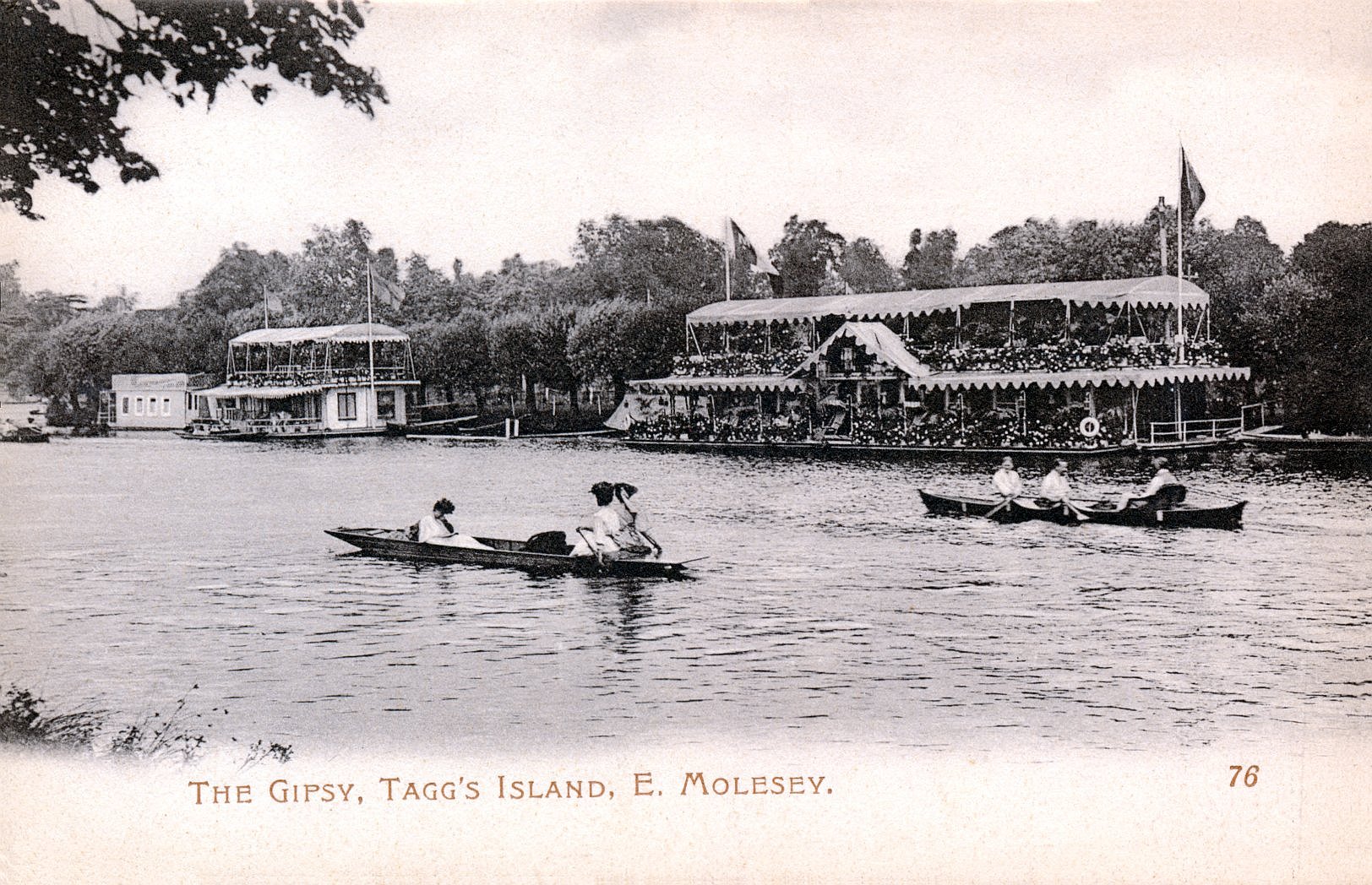 Hampton Taggs Island,river view